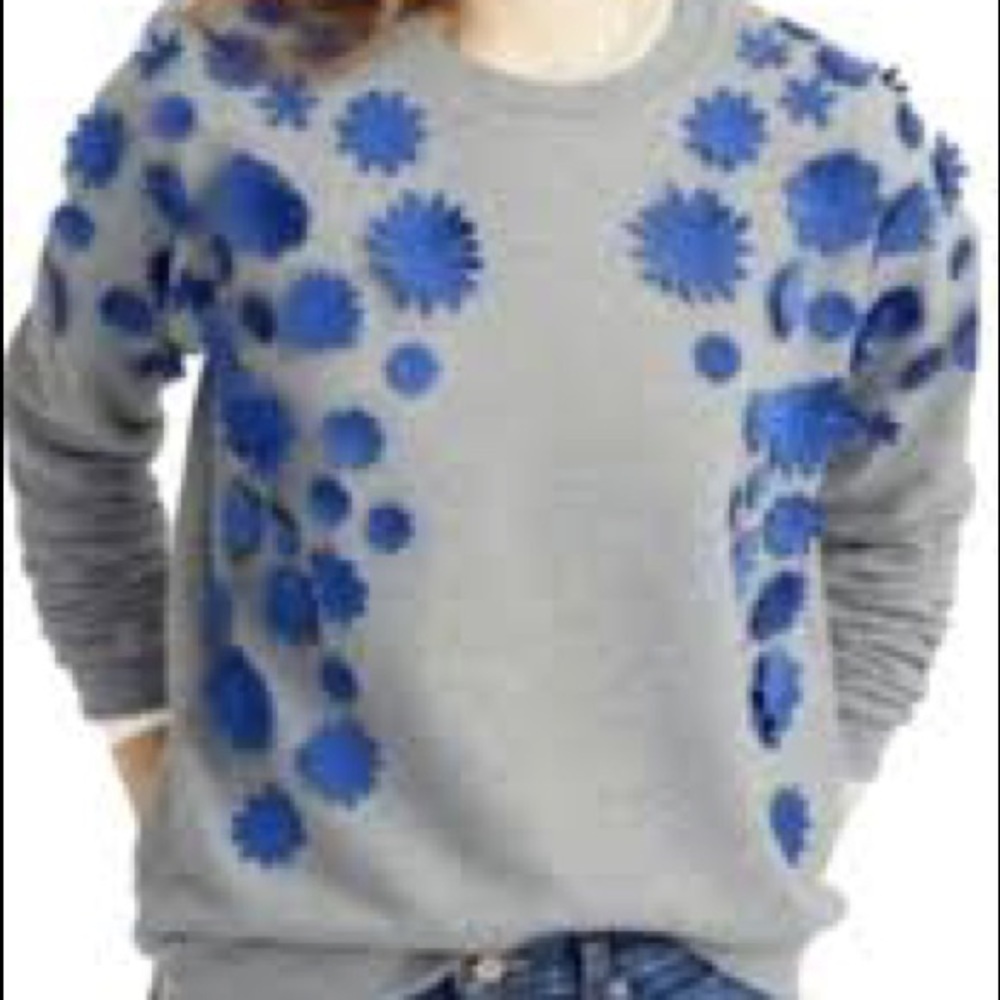 JCREW Blue Floral Embellished Grey Sweatshirt